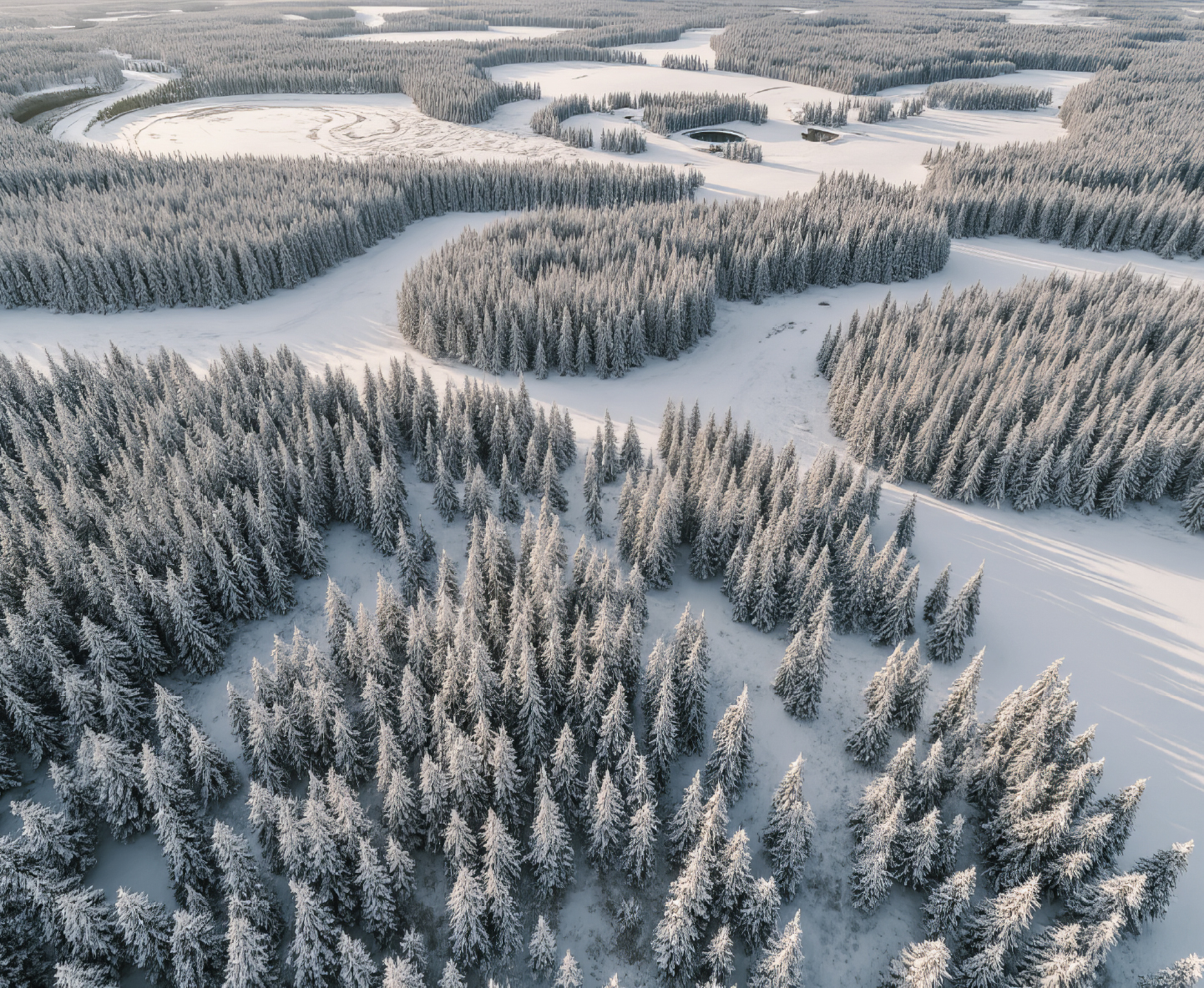 Благословенный край - Югра!